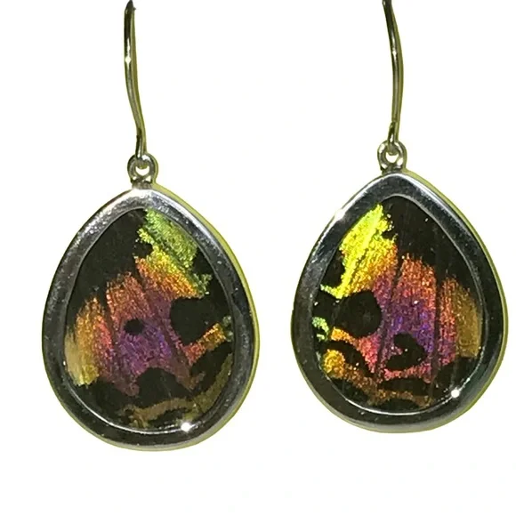 Real Butterfly Wing Earrings Sterling Silver Handmade Jewelry Oval Teardrop - Picture 1 of 9
